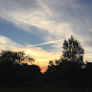 Meet your Posher, Rose